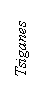 Zone de Texte: Tsiganes